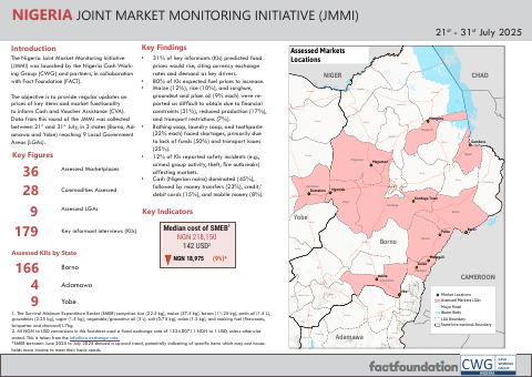 First-page preview of the Northeast Nigeria JMMI factsheet for July 2025