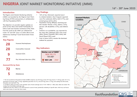 First-page preview of the Northeast Nigeria JMMI factsheet for June 2025