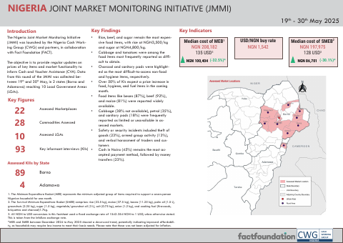 First-page preview of the Northeast Nigeria JMMI factsheet for May 2025